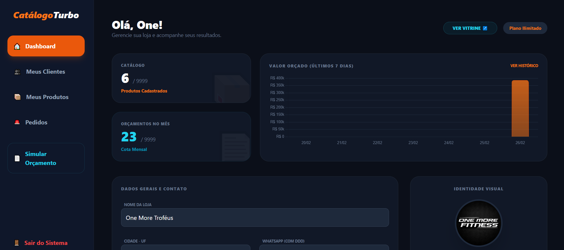 Dashboard Catálogo Turbo